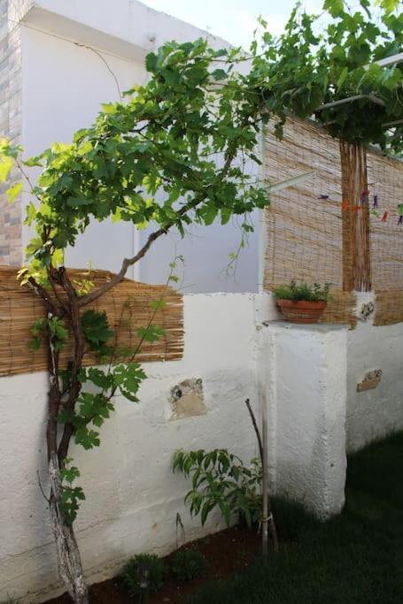 Mantra1 Villa Sozopoli Luaran gambar